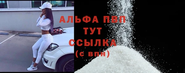 эйфоретик Беломорск