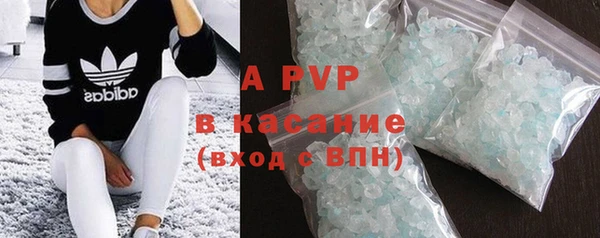 эйфоретик Беломорск