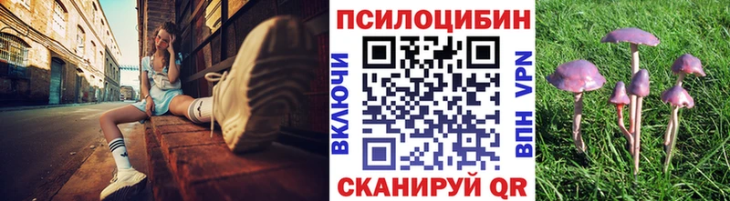 kraken как войти  наркотики  Могоча  Галлюциногенные грибы ЛСД 